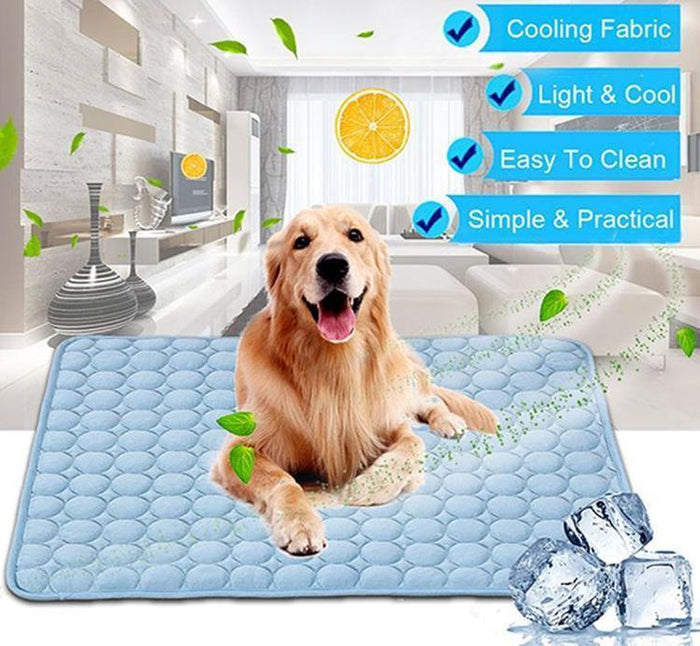 Pet Care